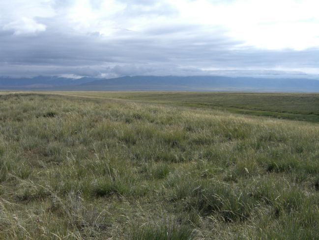  2006:09:03 22:03:08   Overview of Beach Ridges - East Side of Lake b.jpg